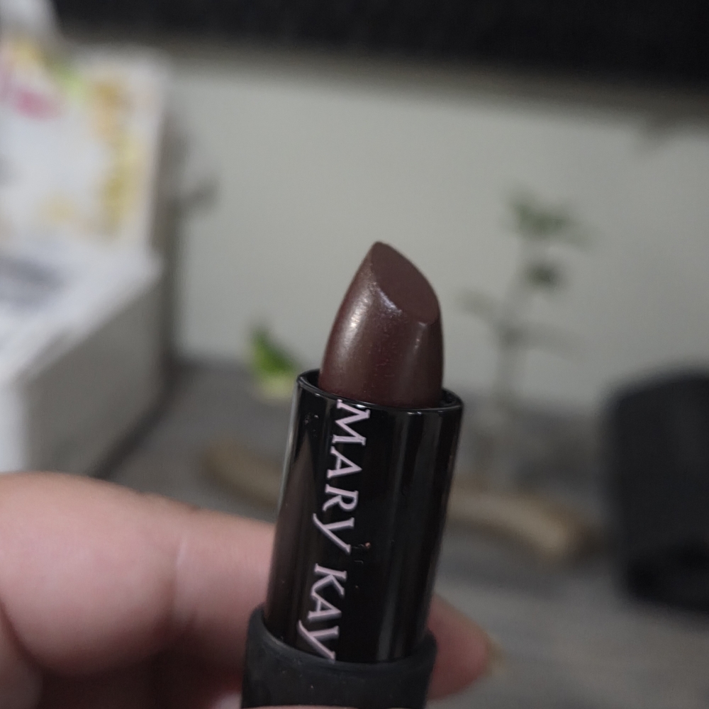 Mary Kay Lipstick Confidence Limited Edition DISCONTINUED